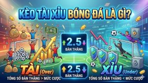 keo-tai-xiu-bong-da-la-gi