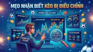 meo-nhan-biet-keo-bi-dieu-chinh